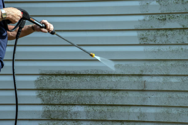 Best Gutter Cleaning  in Lawrenceburg, TN